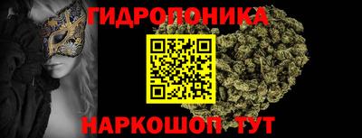 шишки Балашиха