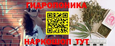 шишки Балашиха