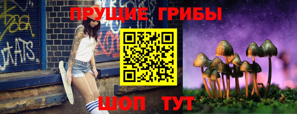 Псилоцибиновые грибы GOLDEN TEACHER  Вход с VPN  Жуковский  Псилоцибиновые грибы Magic Shrooms 