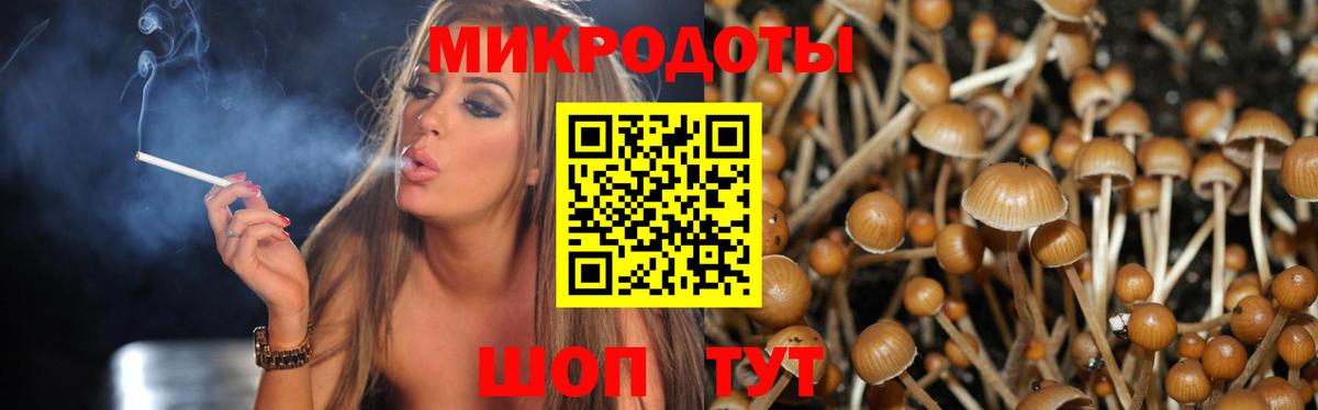 Псилоцибиновые грибы MAGIC MUSHROOMS Жуковский