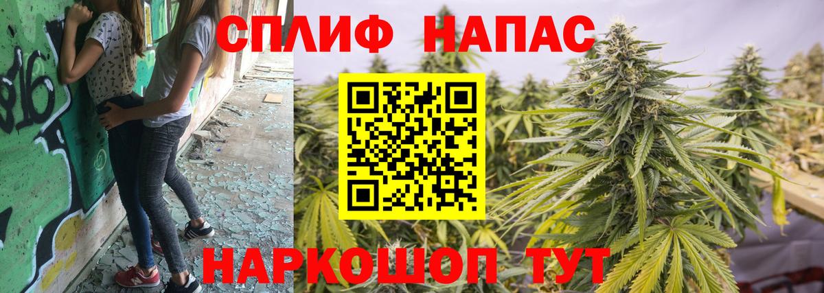 Канабис конопля Жуковский